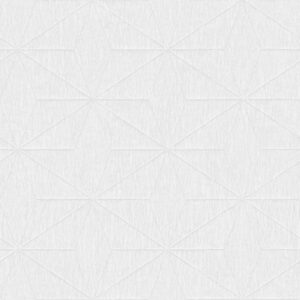 Papel Tapiz Architecture FD25343