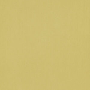 Papel Tapiz ColorBox 56357050