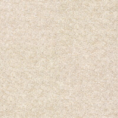 Papel Tapiz Polished  21001