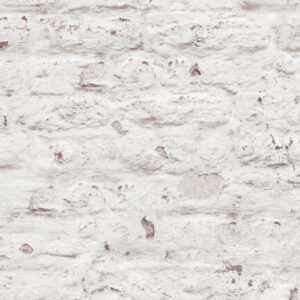 Papel tapiz Perspectives 442C