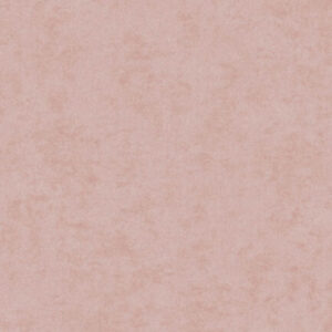 Papel Tapiz Affinity 240G-529