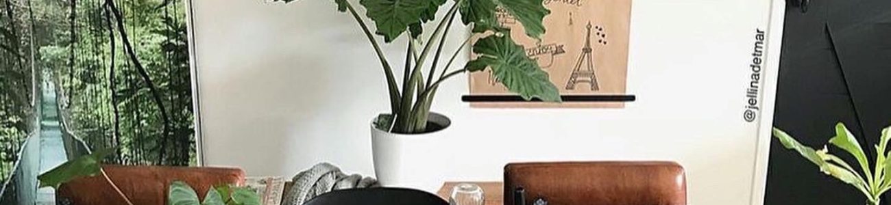 Decoración orgánica y natural