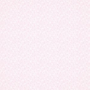 Papel Tapiz Infantil Little Treasures HLTF112656