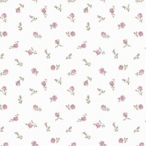 Papel Tapiz Infantil Pippo 455-2